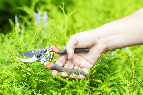 Invoice and receipt beside gardening equipment, indicating bank transfer option