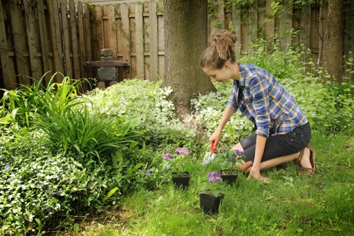 Volunteers collecting reusable garden items for charity