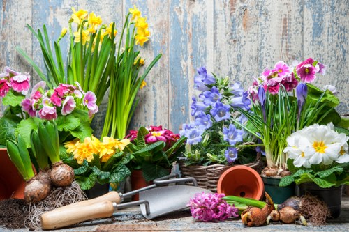 A collection of colorful flowering plants arranged in pots on a rustic wooden surface against a weathered, pale blue wooden background. The display includes yellow daffodils with tall green stems, pink primroses, purple hyacinths, and white primulas, all exhibiting vibrant blooms and lush foliage. Several gardening tools such as a small hand trowel with a wooden handle, a metal hand rake, and a child-sized watering can are placed among the pots, along with some bulbs and gardening soil. The scene suggests a well-maintained garden space, likely in early spring, with natural light illuminating the vibrant colors of the flowers, consistent with outdoor gardening activities in the Blackheath area. This arrangement reflects the type of floral displays and tools used in professional gardening and landscaping services offered by Gardening Services Blackheath, tailored for customer outdoor space enhancement and plant care.