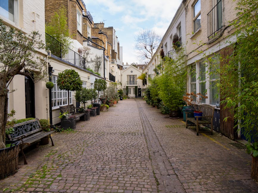 A cozy courtyard garden situated between brick buildings with white-framed windows, featuring a variety of lush green plants, ferns, and climbing ivy covering the walls. The ground is covered with gra